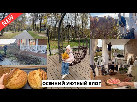 Видео: 🪴 РАБОТЫ В САДУ ✂️| Домашняя пицца 🍕Прогулка в парке, наслаждаемся осенью 🍂