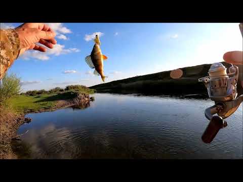 Видео: Осенние подводные съемки на р. Тобол,  Костанайский район, ловля окуня и щуки.