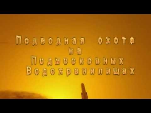 Видео: Подводная охота на подмосковных водохранилищах