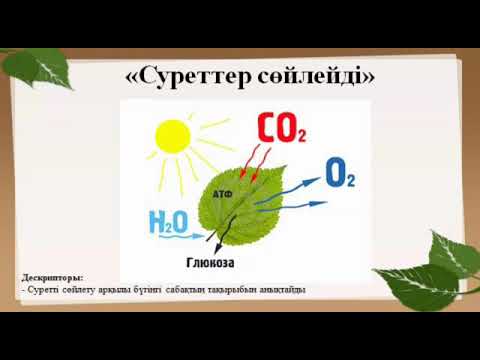 Видео: Фотосинтезге қажетті жағдайлар