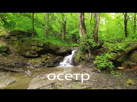 Видео: Река Осетр на пакрафте. Серебряные Пруды-Зарайск.