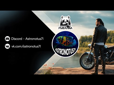 Видео: Неспешная рыбалка, общение с чатом