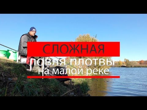 Видео: Сложная ловля плотвы на малой реке