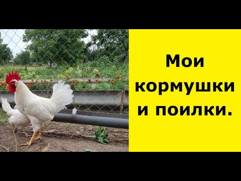 Видео: Кормушки и поилки для домашней птицы. Мои варианты.  Feeders and drinkers for poultry. My options.