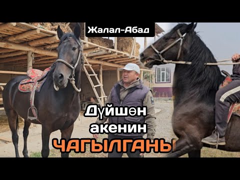 Видео: Дүйшөн акенин ЧАГЫЛГАНЫ