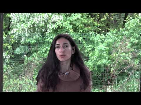 Видео: Как понимать лошадь?