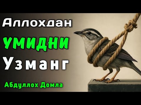 Видео: Аллоҳдан Умидни Узманг | Абдуллох Домла 2025 | Abdulloh Domla 2025 | ilmnuri
