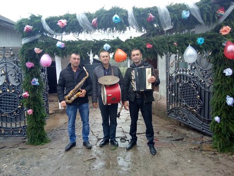 Видео: Музиканти на весілля,Відеооператор Відеограф на весілля 0978620198 Підписуйтесь на канал ставте лайк
