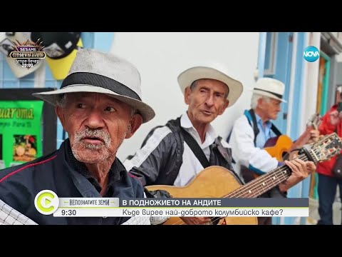 Видео: „Непознатите земи”: Тайните на Колумбия - долината на восъчните палми и най-доброто кафе