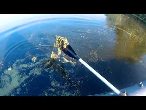 Видео: Щука сломала спиннинг(! Рыбалка. Река Нейва.