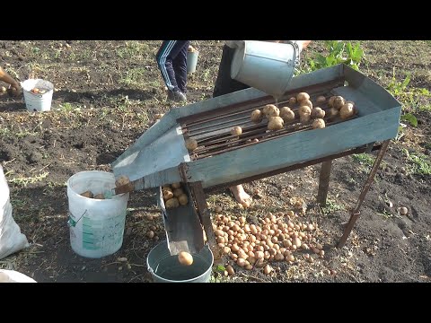 Видео: Сортировка для картофеля