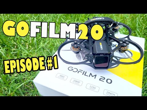 Видео: Gofilm20: Обзор. [Часть 1]