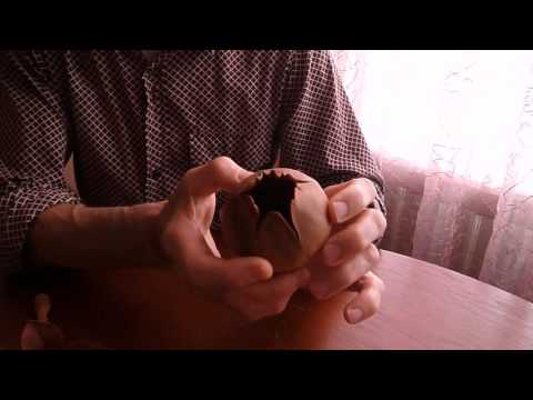 Видео: Резьба по дереву урок 9 "Роза" Как сделать горшок