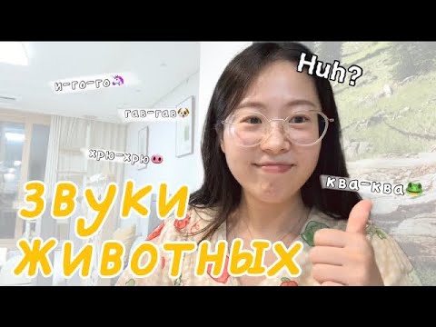 Видео: корейцы угадывают русские звуки животных🐶🐱🐭🐷🐮