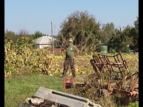 Видео: Поговорили по душам з сусідом