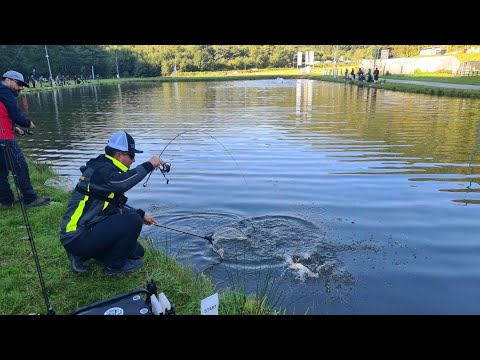 Видео: 138 риби на състезание за 5 часа. Ареа риболов в Румъния.