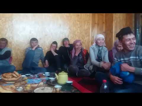 Видео: Той мургаб 2017