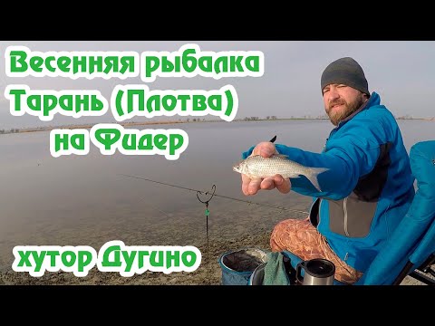 Видео: Рыбалка на реке Дон / хутор Дугино / Тарань (плотва) на фидер / Эксперимент с прикормкой Fishmir