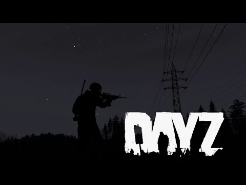 Видео: ✔DAYZ PVP! ВСЕ С НУЛЯ в ДЕЙЗ! #dayz #дейз