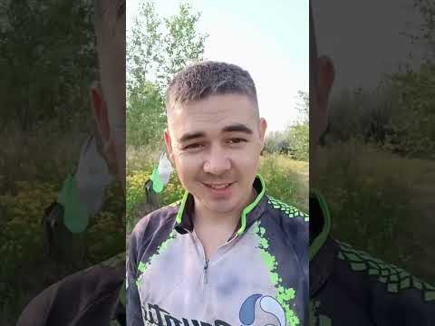 Видео: 30 октября 2025 г.