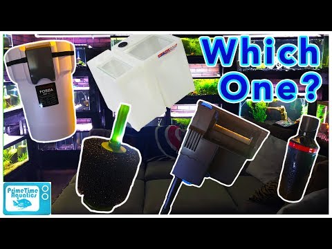 Видео: Как выбрать правильный фильтр для вашего аквариума!