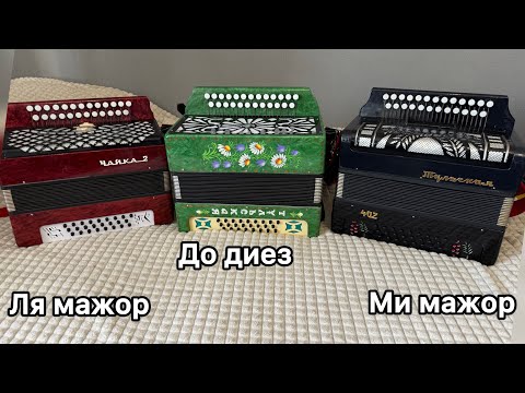 Видео: Гармонь Тульская 301 и Чайка 2 МОЩНЫЙ БАС (купить гармонь)