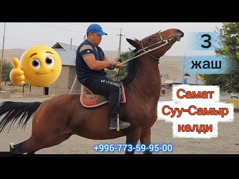 Видео: Самат Суу-самырдан келди