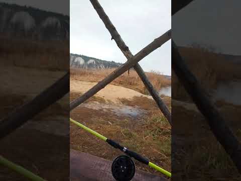 Видео: Мнение новичка-инерционщика по "Нельме" и не только из опыта...для начинающих по ловле ИК