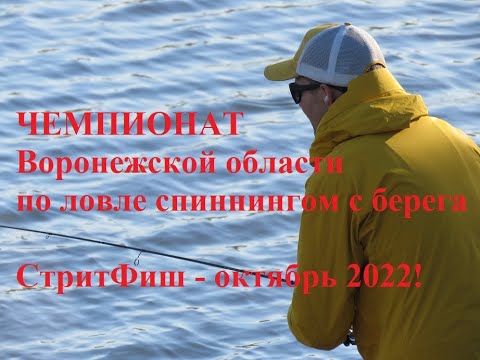 Видео: Чемпионат Воронежской области по спиннингу с берега октябрь 2022