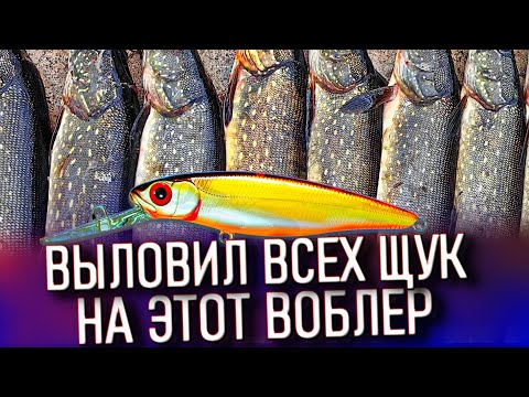 Видео: ЩУКА ДУРЕЕТ ОТ ЭТОЙ ПРИМАНКИ! ЛОВЛЯ ЩУКИ ОСЕНЬЮ НА ВОБЛЕРЫ! ДИКИЙ ЖОР ЩУКИ! Рыбалка на СПИННИНГ 2024