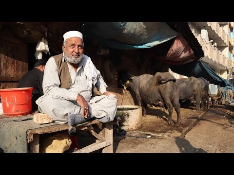 Видео: Пакистан 2020. Чего стоит бояться. Жесть на дорогах. Кладбище кораблей. Карачи #4