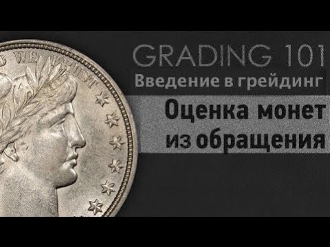 Видео: Как Оценивать Монеты из Обращения - Введение в Грейдинг