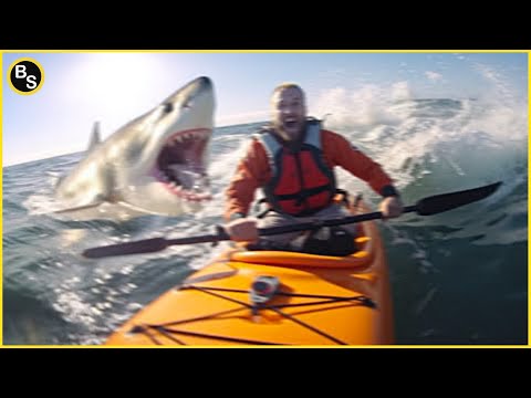 Видео: Самые жуткие моменты в океане, снятые на камеру !!