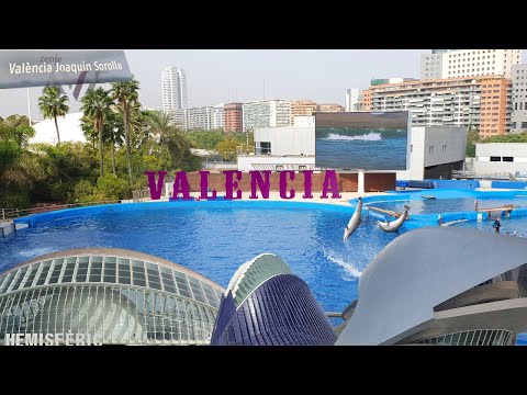 Видео: Валенсия градът на делфините науката изкуството и още нещо/Valencia la ciudad de los delfines y más!