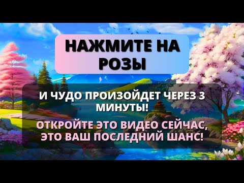 Видео: ✨ ВАШЕ ЧУДО СВЕРШИЛОСЬ! БОГ СДЕЛАЕТ ВАС БОГАТЫМ СЕГОДНЯ! 😍 Послание от Бога - Послание с Небес