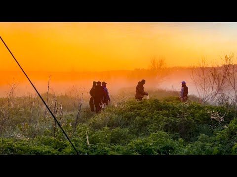 Видео: Бійки за місця, мішками Карасі на Ірпіні