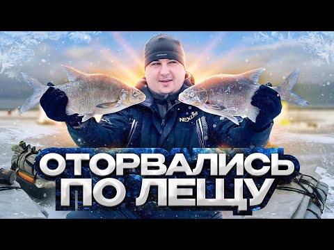 Видео: ПЕРВЫЙ РАЗ НА НОВОМ ВОДОЕМЕ И ТУТ НАЧАЛОСЬ...  Ночная ловля крупного леща!