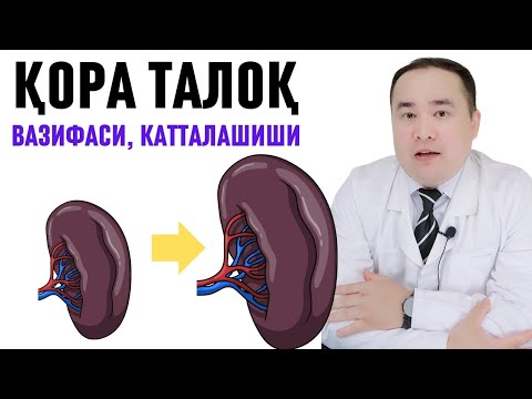 Видео: ТАЛОҚ КАТТАЛАШИШ САБАБЛАРИ ВА ДАВО ЧОРАЛАРИ, ВАЗИФАЛАРИ ҲАҚИДА БАФУРЖА ДОКТОР ИСЧАНОВ