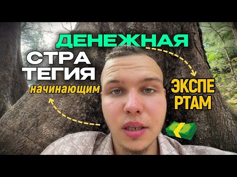 Видео: Четкая стратегия: как любому начинающему эксперту выйти из апатии и начать зарабатывать деньги