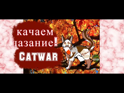 Видео: 6 лун!/Можно лазать?/Охотимся!/CatWar