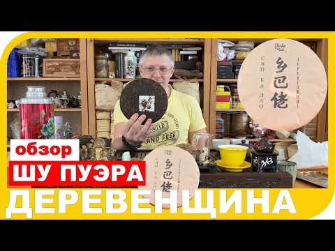 Видео: ОБЗОР ШУ ПУЭРА СЯН БА ЛАО ДЕРЕВЕНЩИНА.