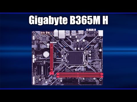 Видео: Материнская плата Gigabyte B365M H