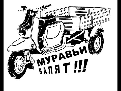 Видео: Муравей на вариаторе