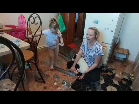 Видео: Влог 4/ собираю стеллаж/рассада/ немного про дачу/цветы.