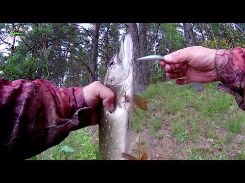 Видео: Itumo DANDY ТОЛЬКО РАЗОШЁЛСЯ И ТУТ ОБЛОМАЛИ ВСЮ РЫБАЛКУ.))) Закон подлости.))