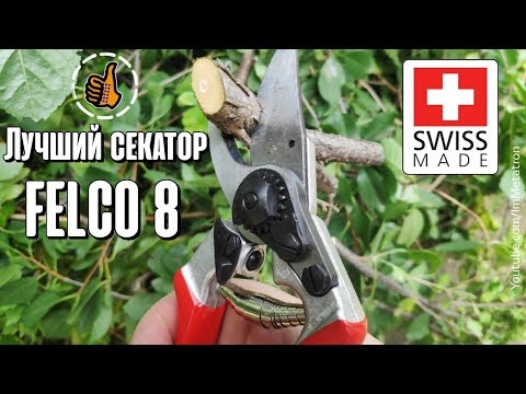 Видео: Садовый секатор Felco 8 - Мой инструмент