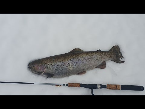 Видео: Финский залив. Первая рыба открытой воды.