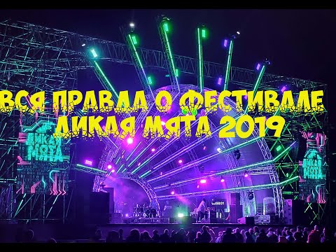 Видео: Вся правда о фестивале Дикая Мята 2019
