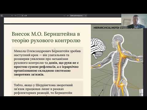 Видео: Організація та реорганізація функціональних систем організму…