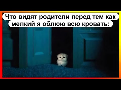 Видео: Тик-ток тошнит | мемная подборочка